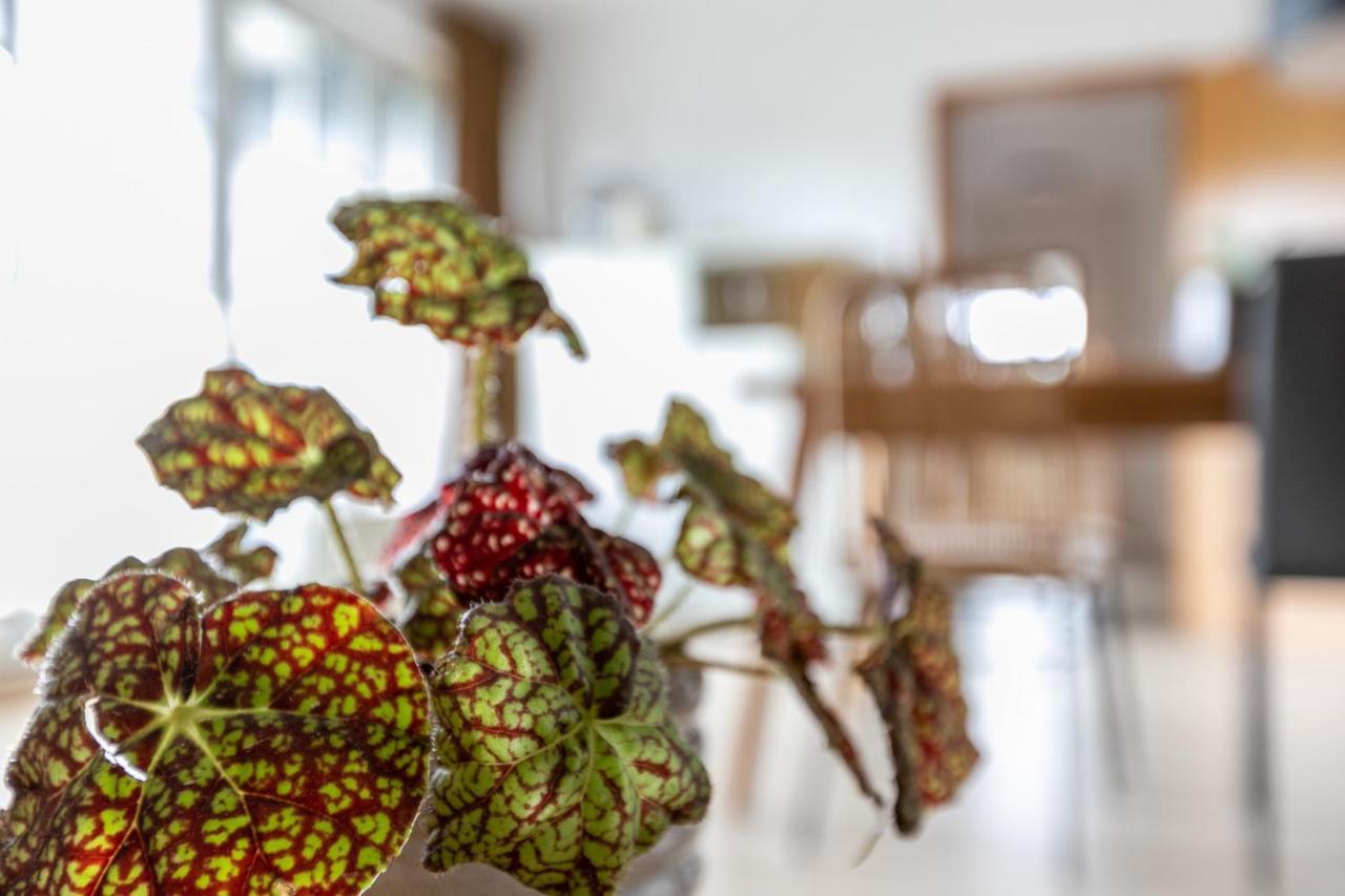 Ferienwohnung Meeressand Sankt Peter-Ording Exteriör bild